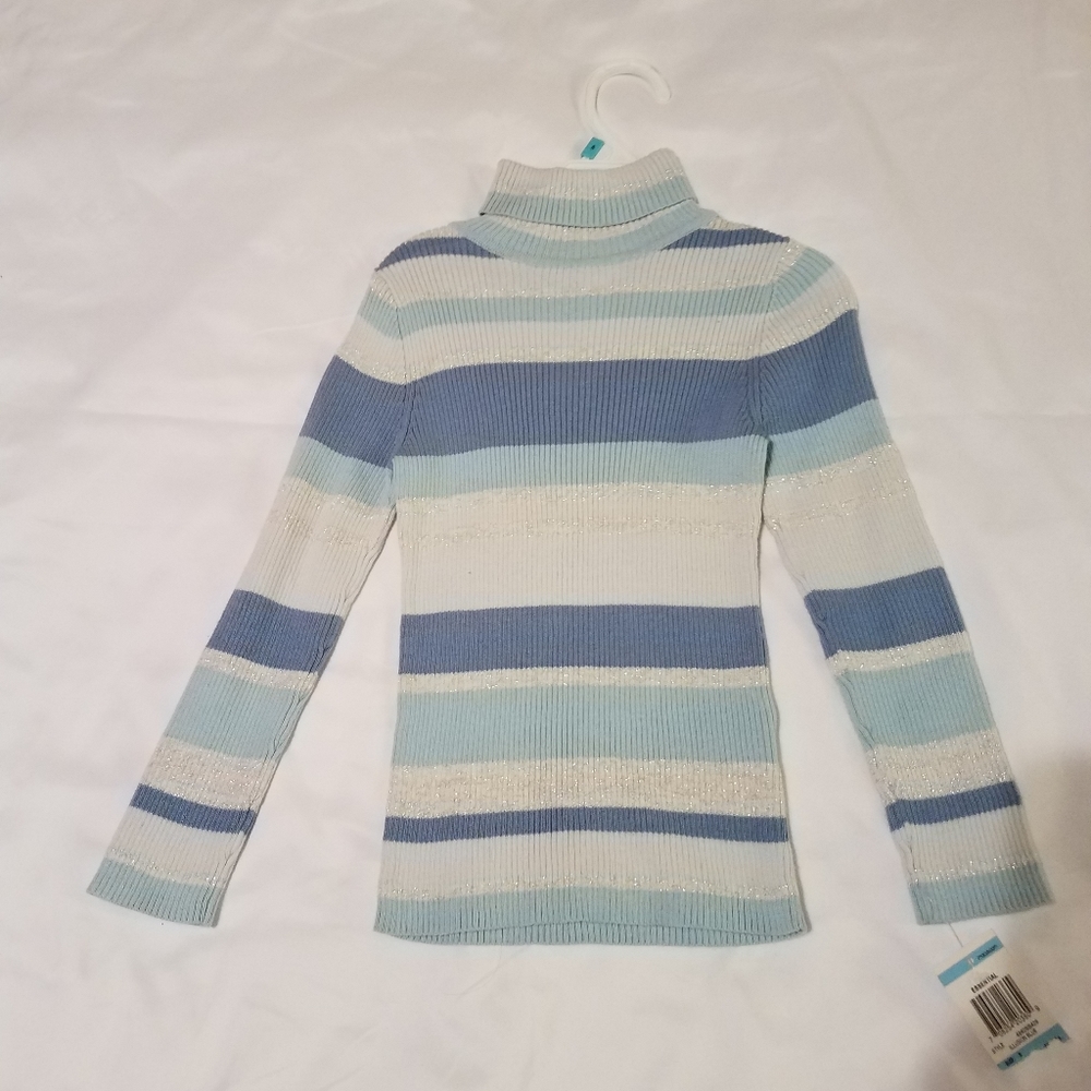 Turtleneck Sweater